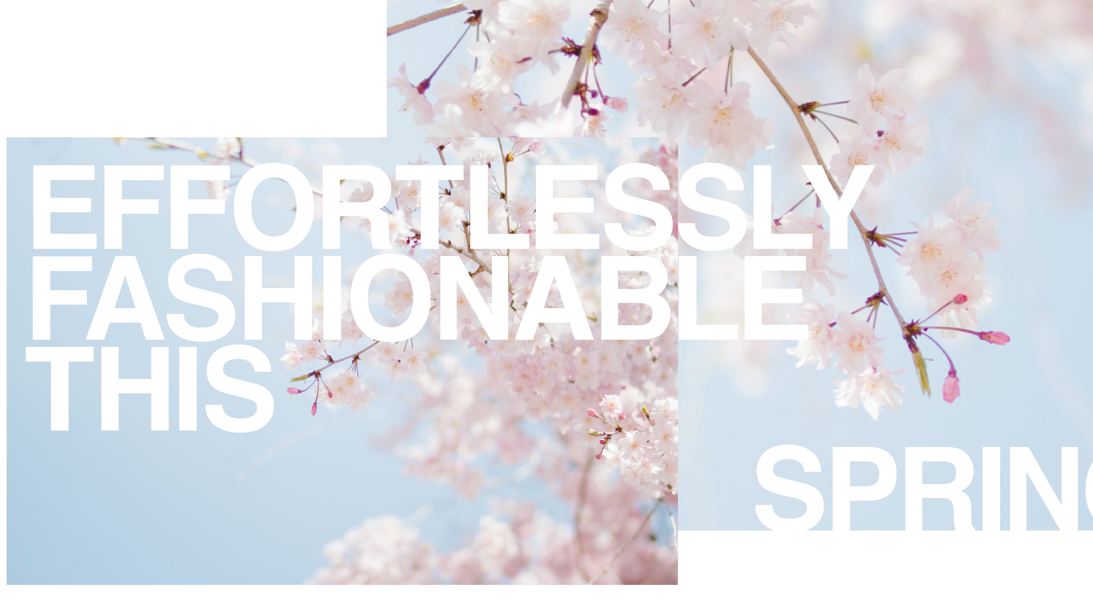 American Rag - Effortlessly Fashionable This Spring (Part 2)