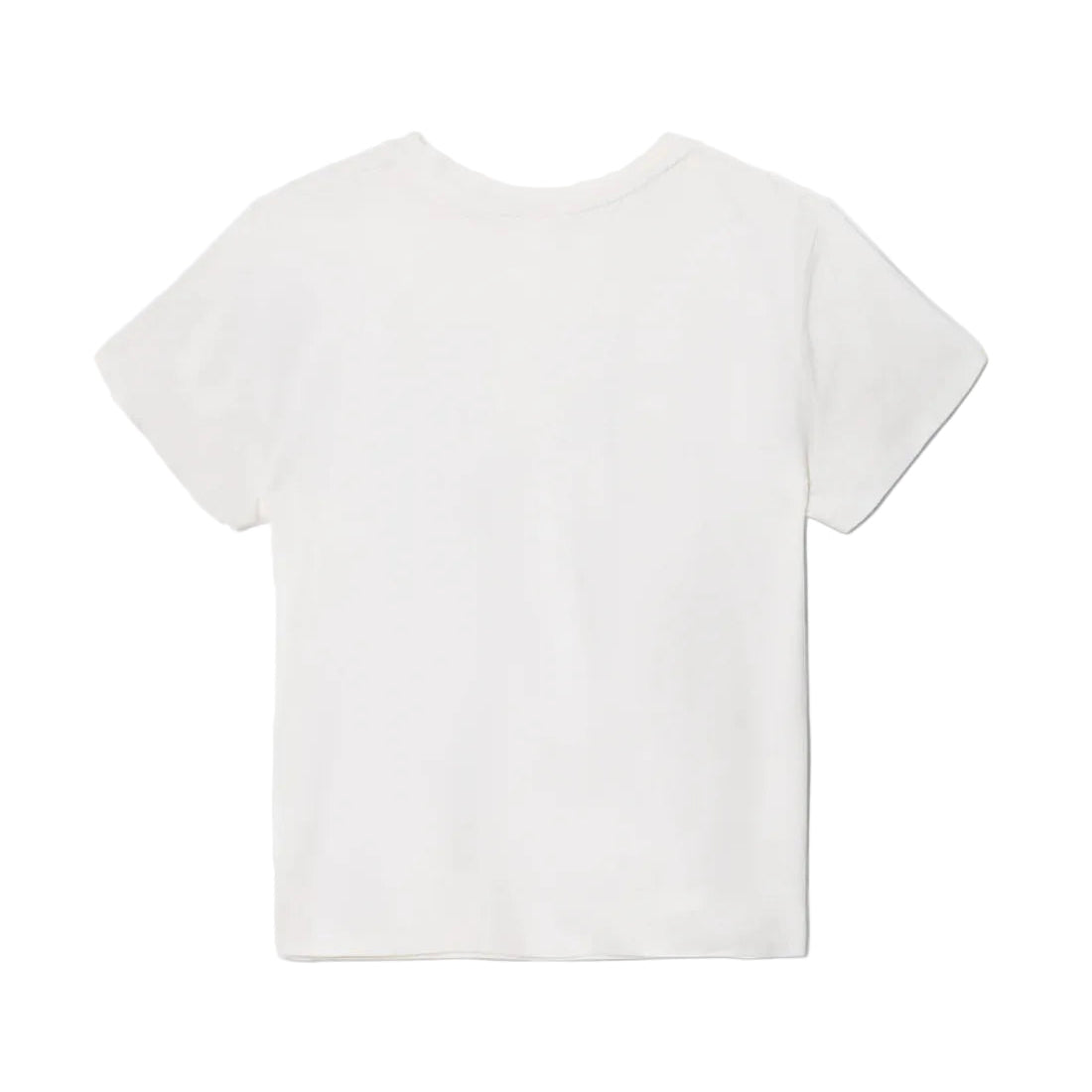 back of a white t-shirt on a white background