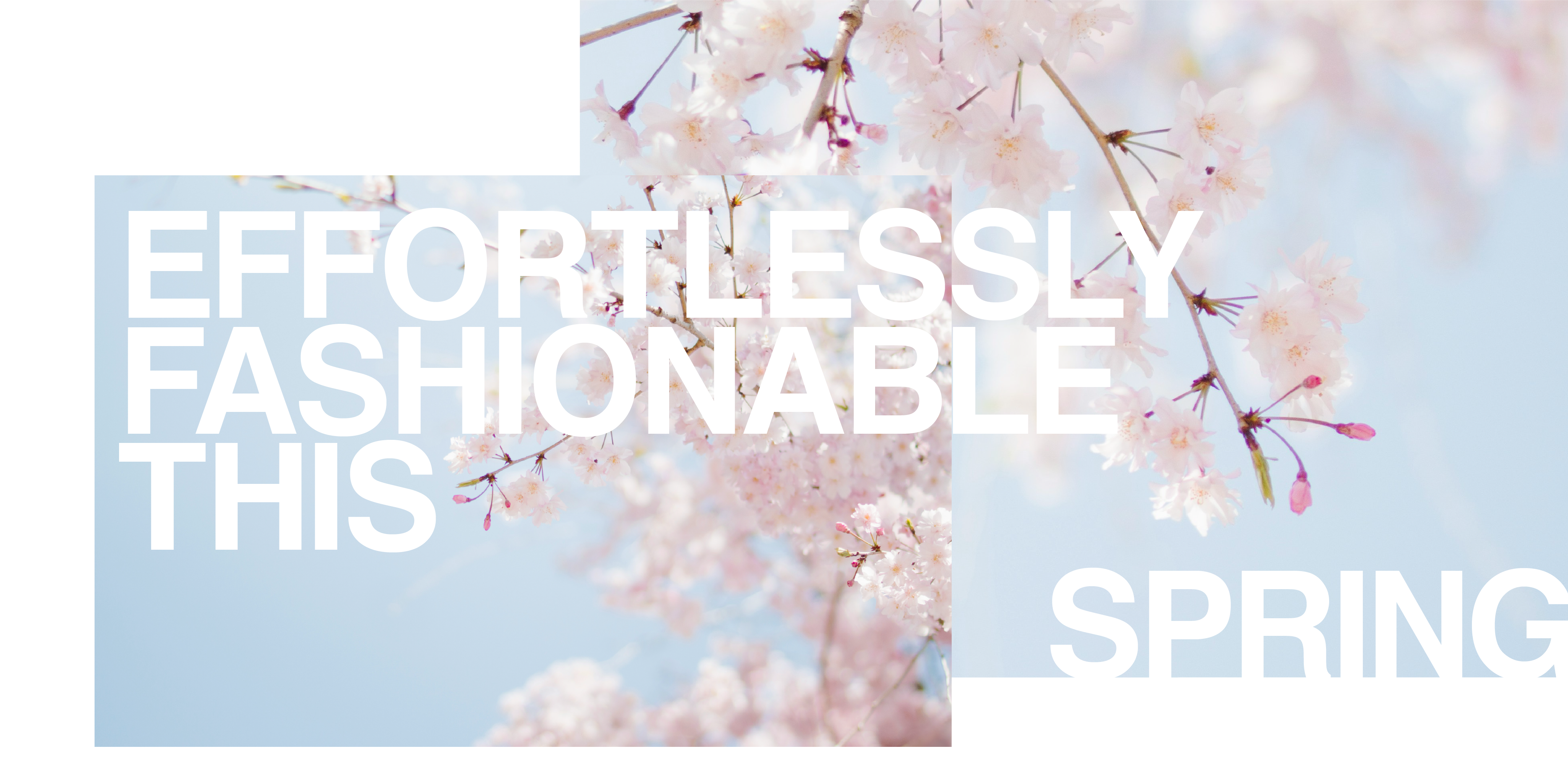 American Rag - Effortlessly Fashionable This Spring (Part 2)