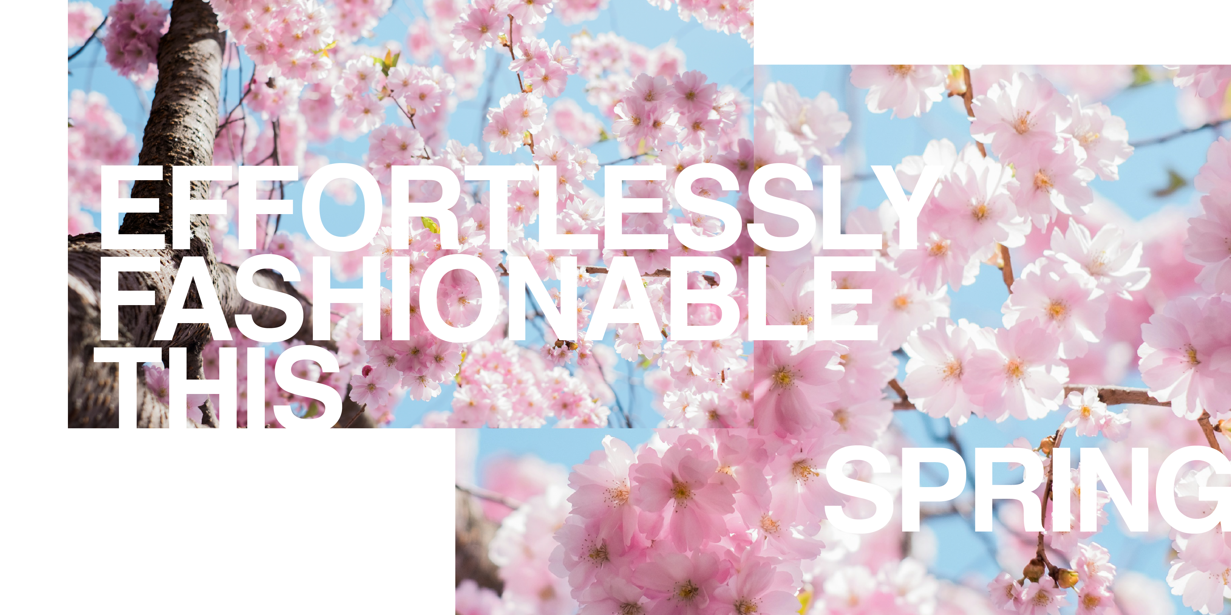 American Rag - Effortlessly Fashionable This Spring (Part 1)
