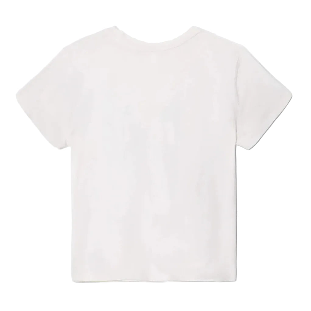 back of a white t-shirt on a white background