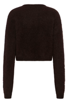 A dark brown cropped long-sleeve knit sweater with a fuzzy mohair-like texture, shown from the back on a plain white background.