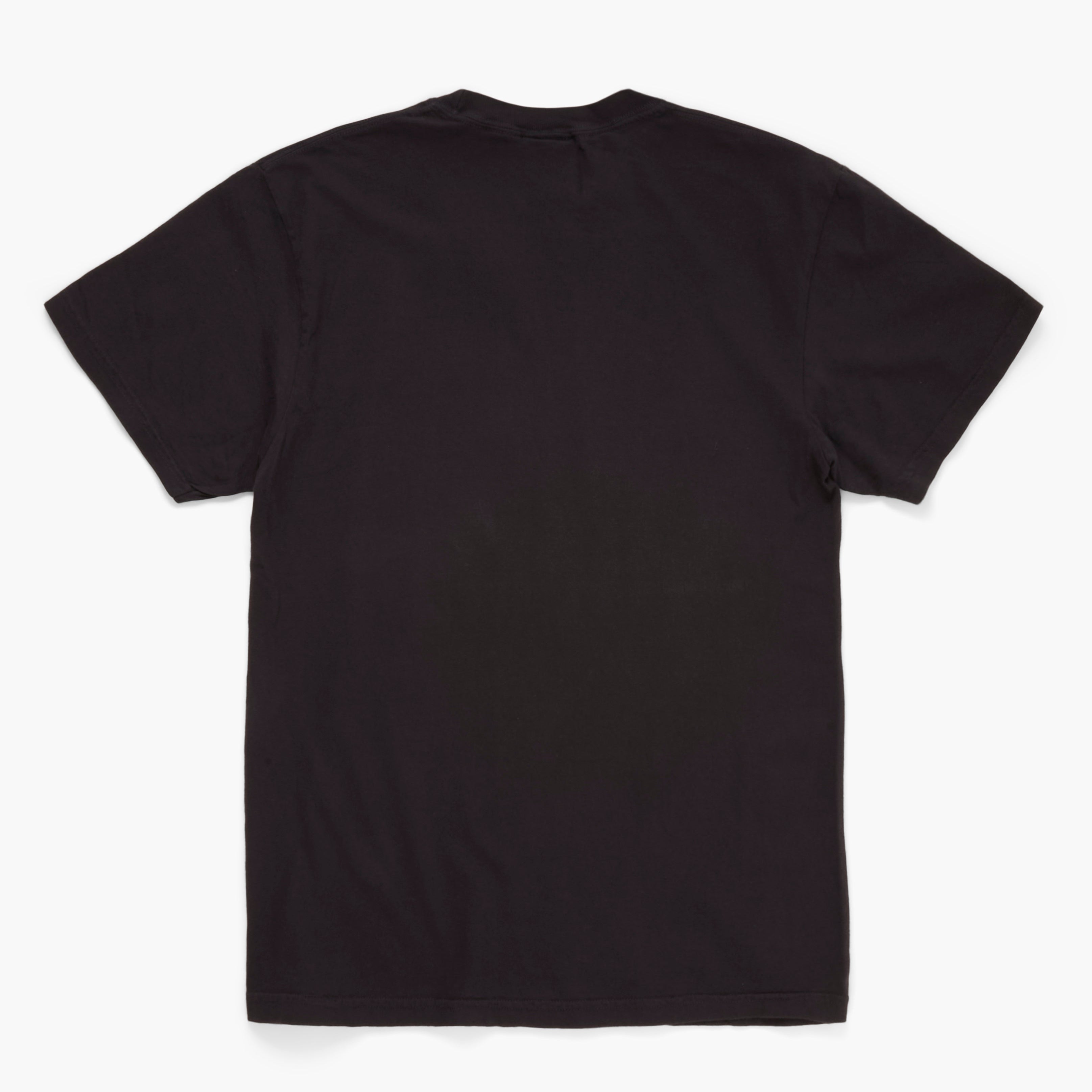 Back view of a black t-shirt on a white background
