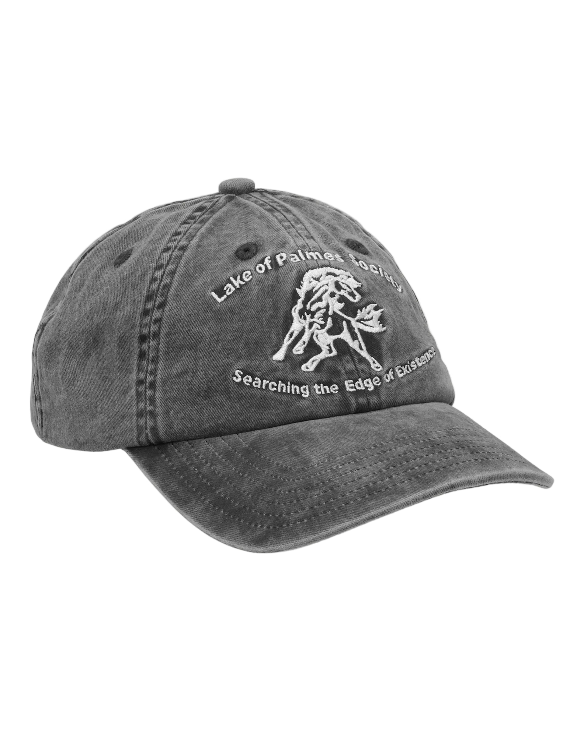 Gray cap with embroidered design on a white background