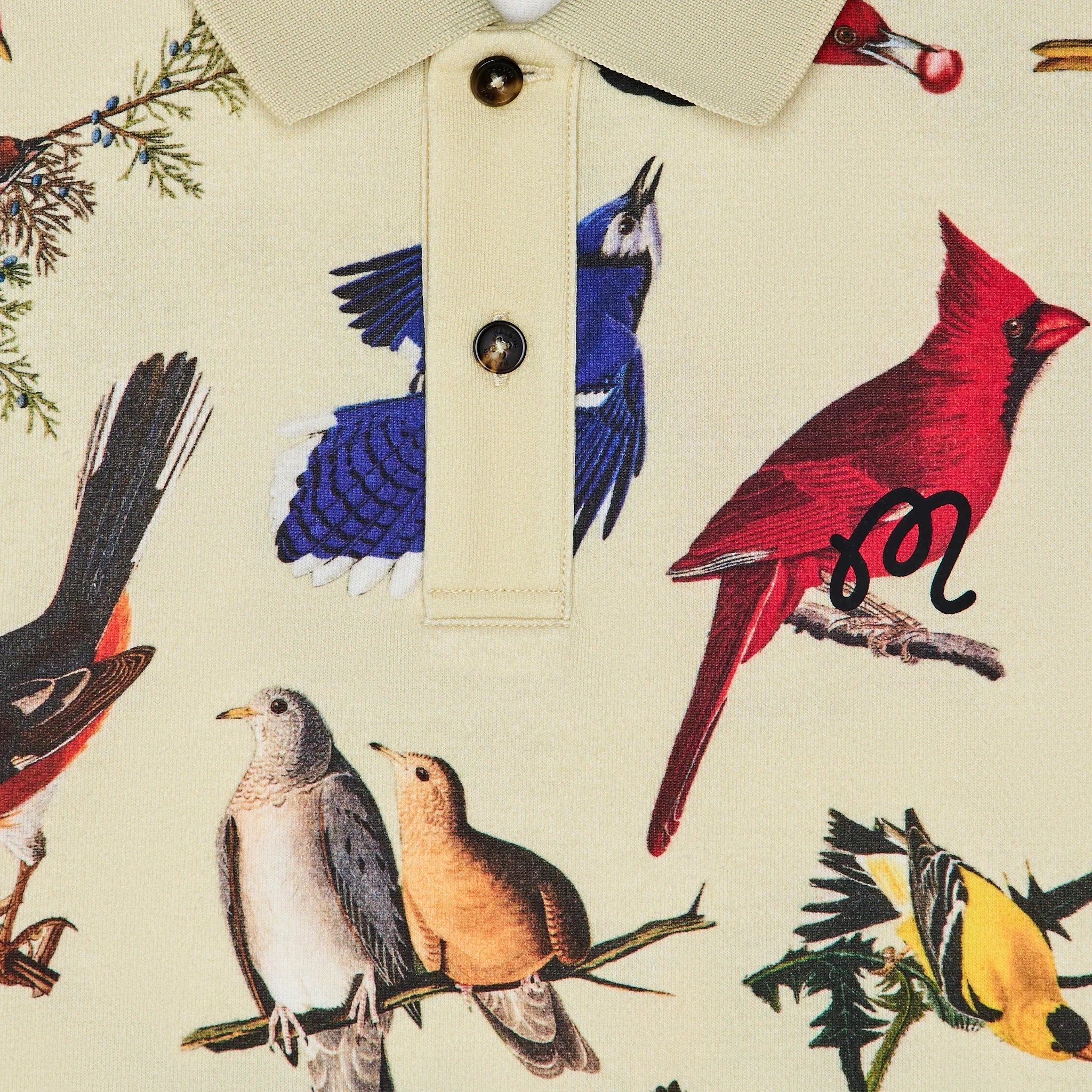 Close-up of a shirt with colorful bird pattern
