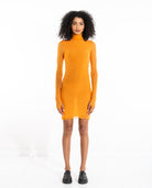 Ross Mini Dress Dresses FIND ME NOW