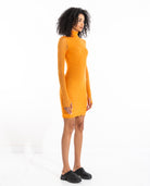 Ross Mini Dress Dresses FIND ME NOW